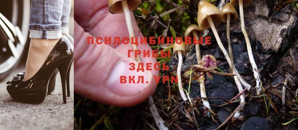 хмурый Балахна