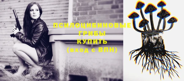 хмурый Балахна